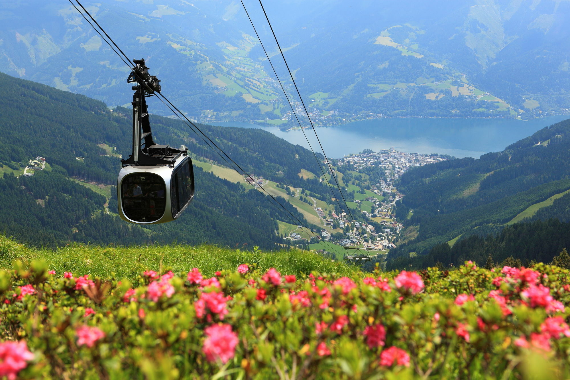 Trinker Zell am See